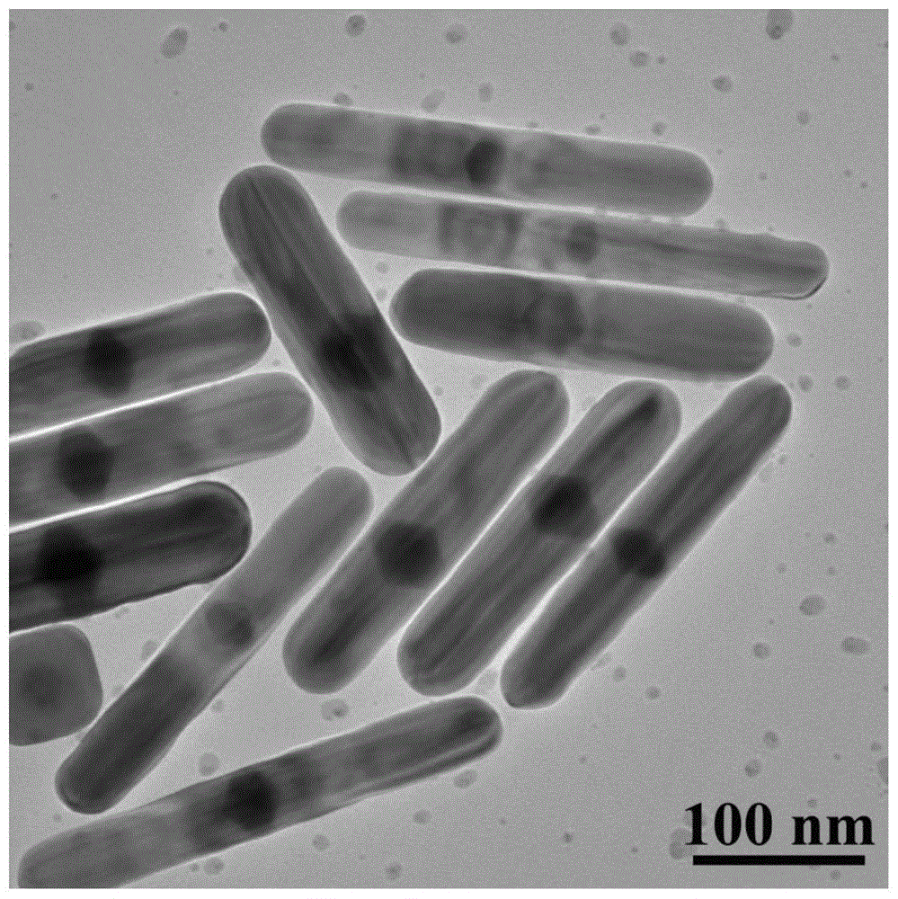 一种一维金/银异质结纳米材料的水相一步制备方法与流程