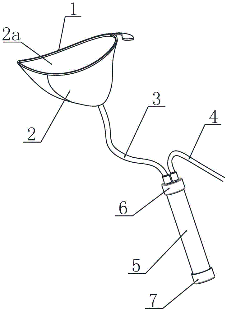 一次性女性尿液采集器的制作方法