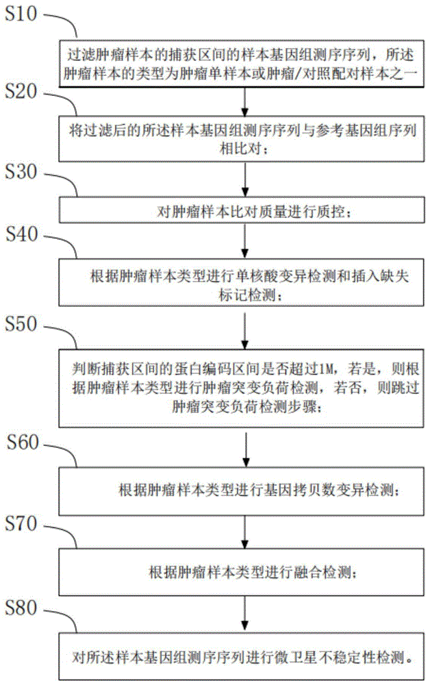 一种肿瘤突变分析方法、系统、终端及可读存储介质与流程