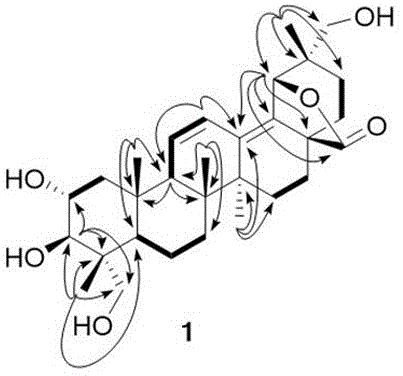 桃金娘三萜内酯A及其提取方法和应用与流程
