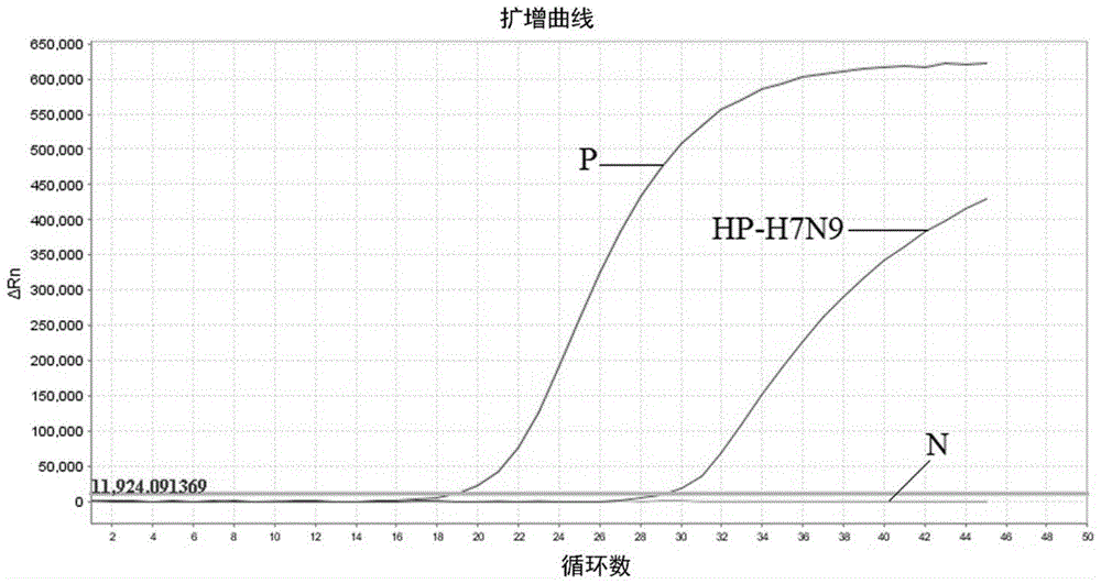 用于检测高致病性H7N9禽流感病毒的荧光RT-PCR引物、探针及方法与流程