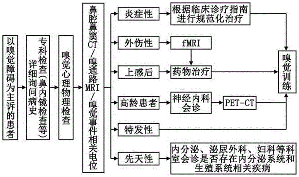 自动化嗅觉训练或测试装置及其应用的制作方法