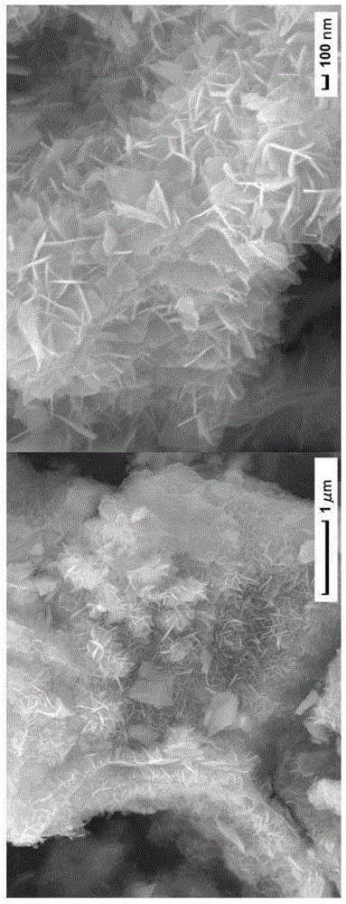 Sn2O3纳米片/功能化碳纳米片复合材料及制备方法与流程
