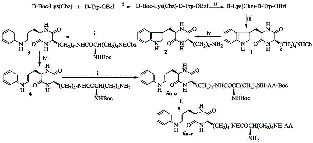 甲基吲哚和芳香氨基酸修饰的2,5-二酮哌嗪,其合成,活性和应用的制作方法