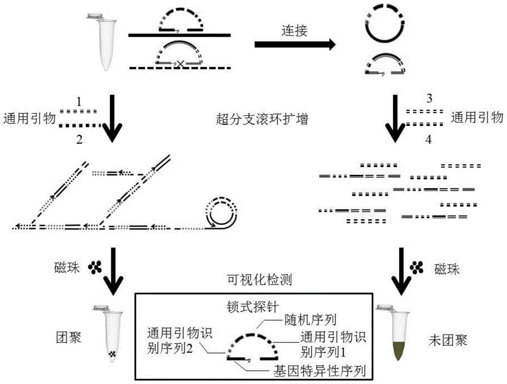 一种多重可视化核酸检测方法与流程