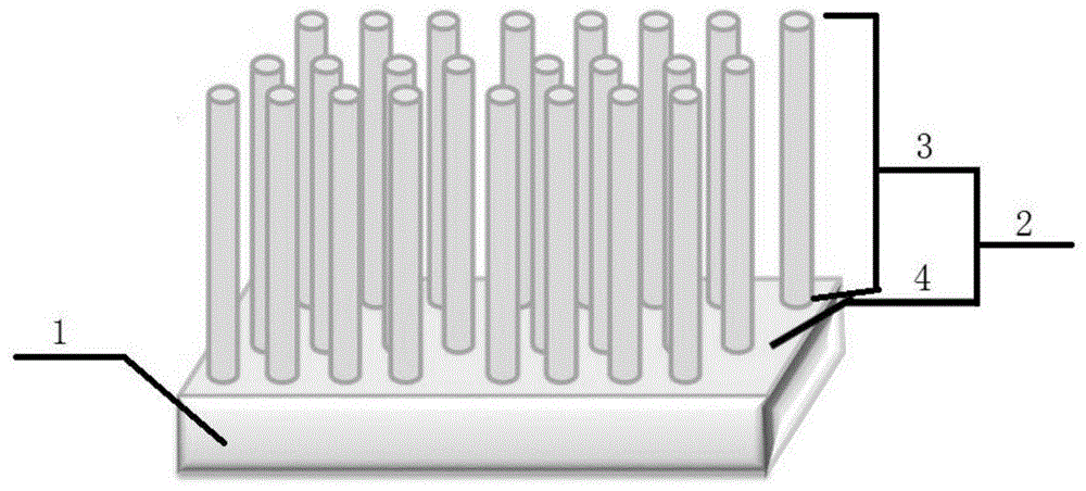 一种氧化锆陶瓷表面镀覆的二氧化锆纳米管薄膜涂层和氧化锆陶瓷牙科冠桥修复体的制作方法