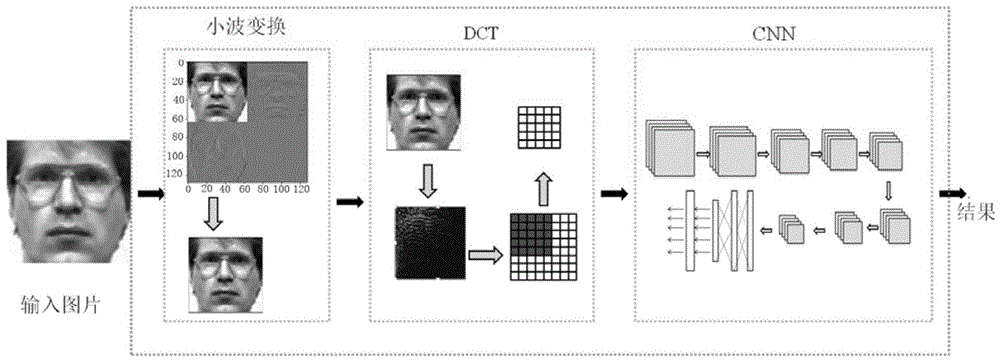 一种基于小波变换和dct的卷积神经网络人脸识别算法的