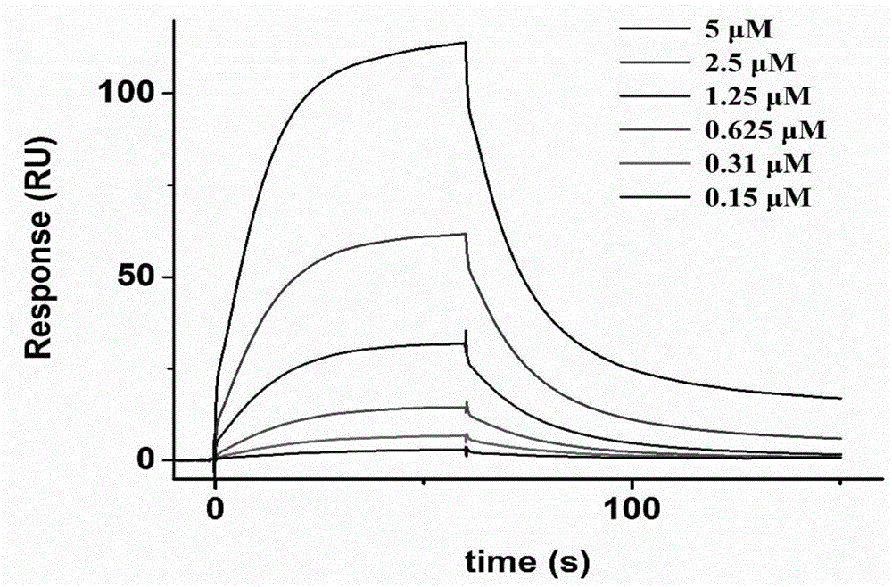 莲心碱作为5-脂氧合酶抑制剂的应用的制作方法