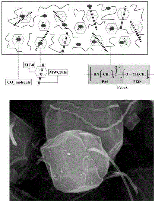 一种基于多壁碳纳米管穿插ZIF-8-聚醚嵌段酰胺的气体分离膜的制作方法