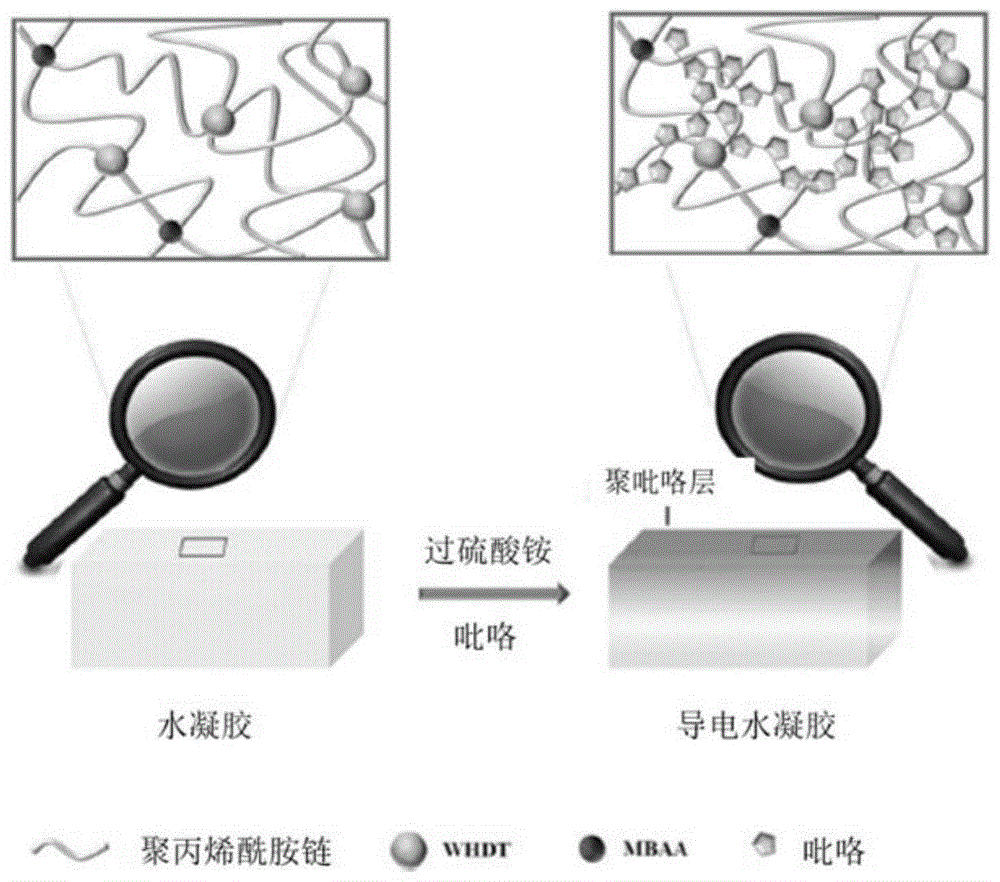 一种低杨氏模量水凝胶柔性应变传感器的制作方法