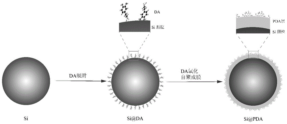 微 纳米核壳结构si Pda的制备方法与流程