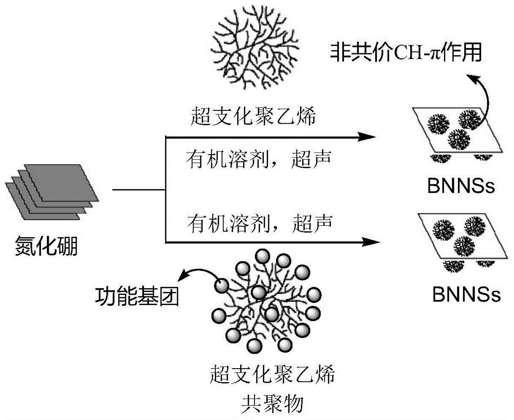 一种氮化硼纳米片及其有机分散液的高效制备方法与流程