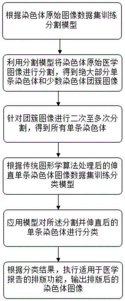 基于人工智能与图形学结合的染色体图像处理方法与流程