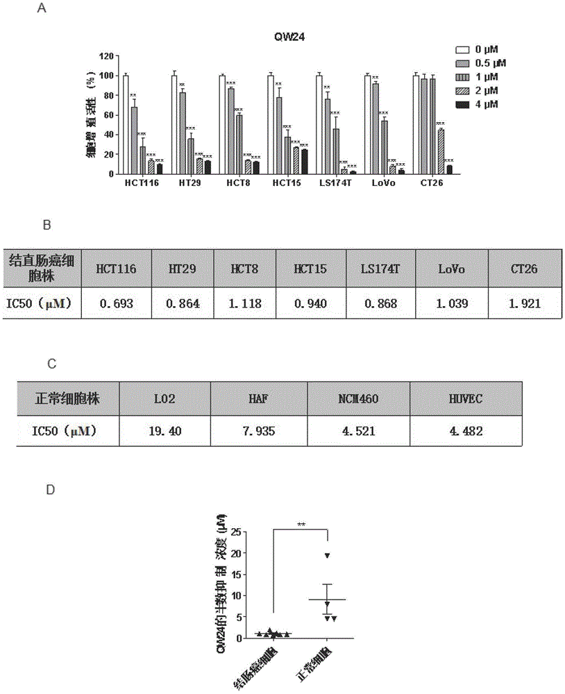 小分子化合物QW24在制备治疗结直肠癌疾病药物中的应用的制作方法