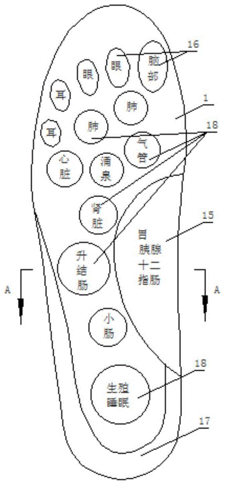 一种汉麻中草药足护按摩养生抑菌鞋垫及其制备方法与流程