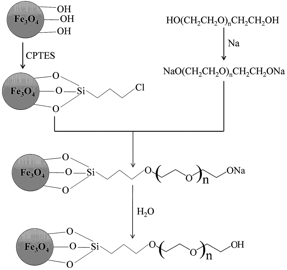 聚乙二醇功能化的Fe3O4纳米粒子选择性分离富集Au(III)的方法与流程