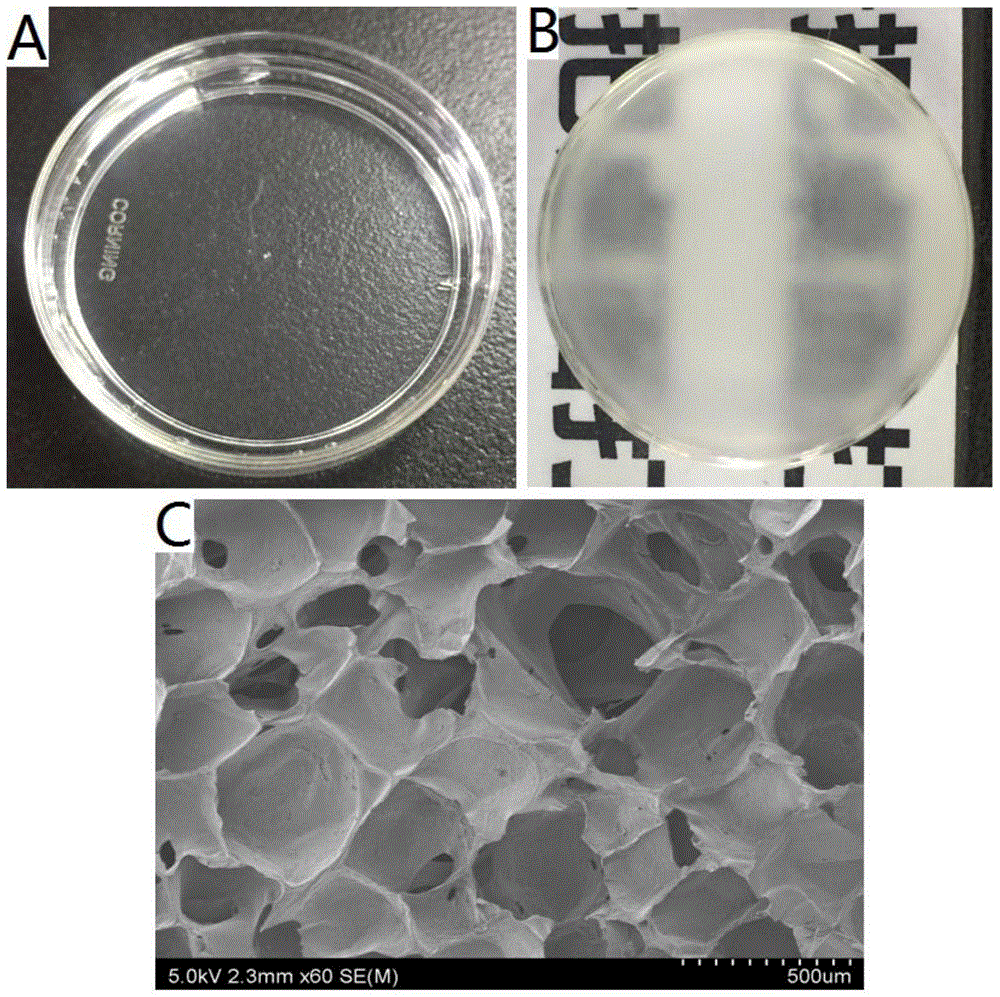 一种丝蛋白多孔海绵及其制备方法与流程