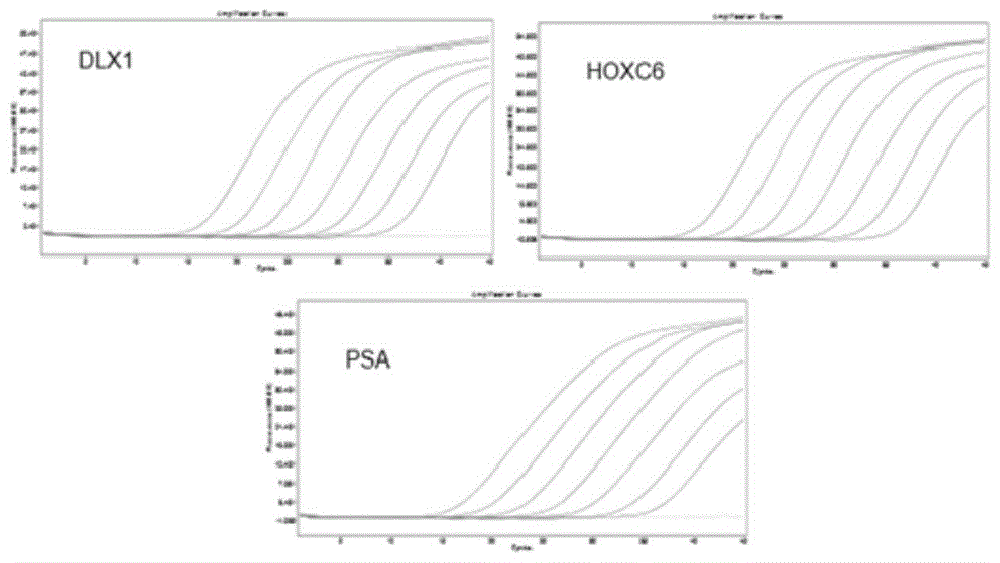 DLX1和HOXC6在制备前列腺癌标志物中的应用及其试剂盒的制作方法