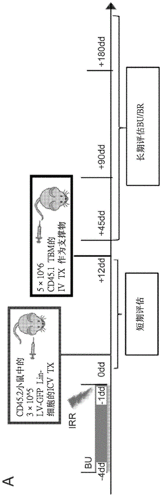 用于治疗中枢神经系统疾病和病症的组合物和方法与流程