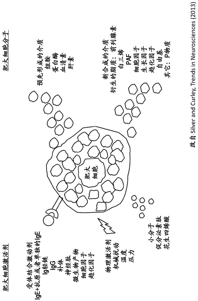 用于治疗肥大细胞相关的或嗜碱性粒细胞介导的炎性疾病的含大麻素复杂混合物的制作方法