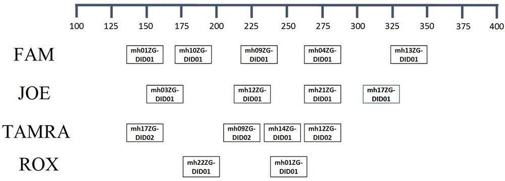 一种人DIP-InDel基因座荧光标记试剂盒及检测方法与流程