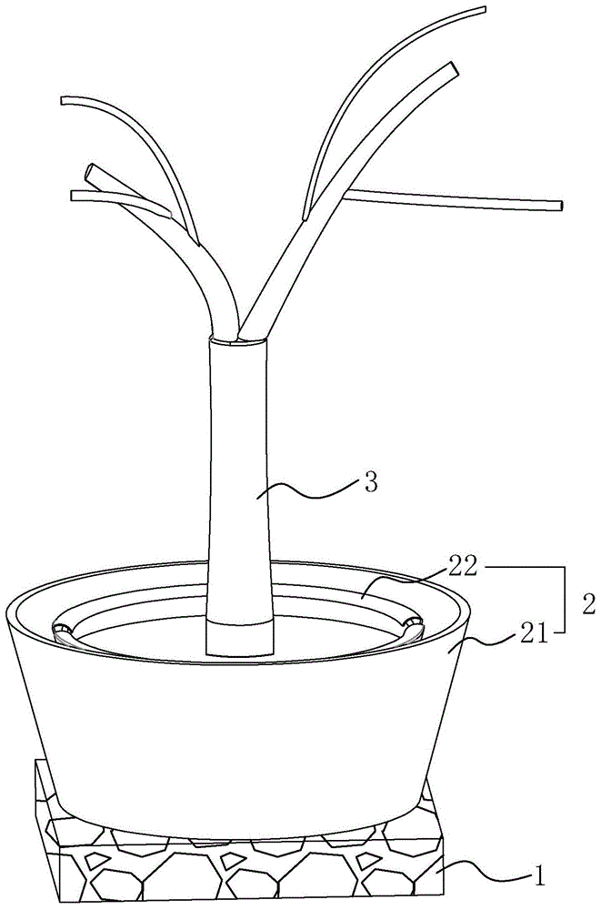 一种大规格苗木的双容器育苗结构的制作方法