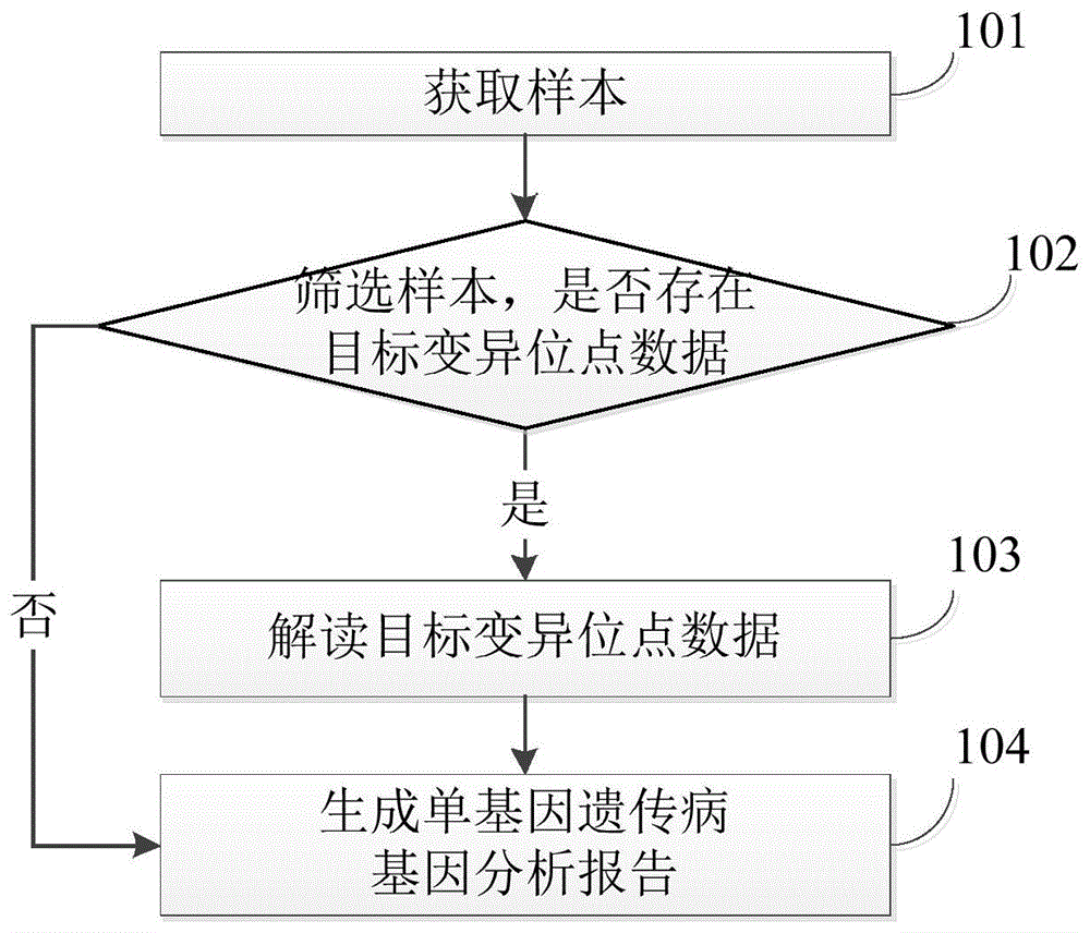 单基因遗传病基因分析报告的生成方法及其电子设备与流程