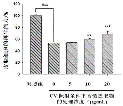 一种香薷抗光老化祛皱面膜及其制备方法与流程