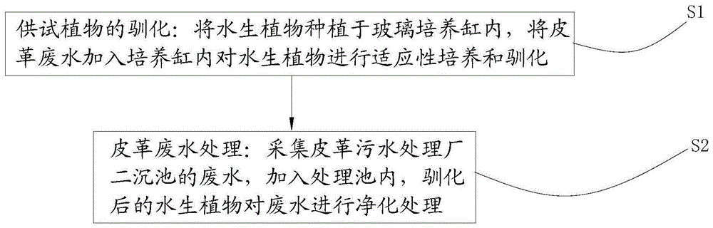 一种水生植物对皮革废水的处理方法与流程