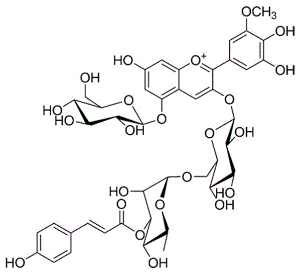 黑果枸杞花色苷在具有美白功效的化妆品中的应用的制作方法