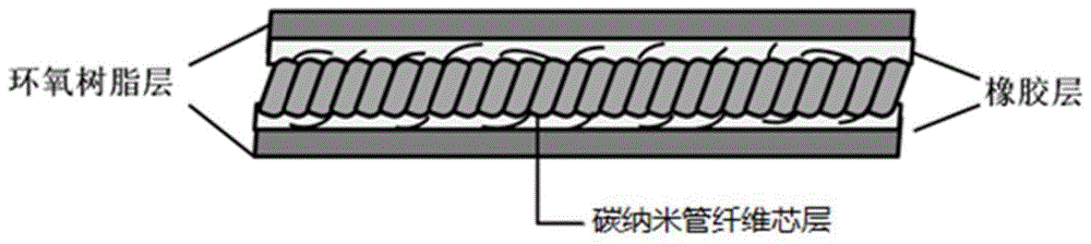 碳纳米管复合纤维及其制备方法与流程