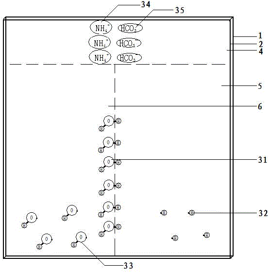 质子守恒演示仪的制作方法