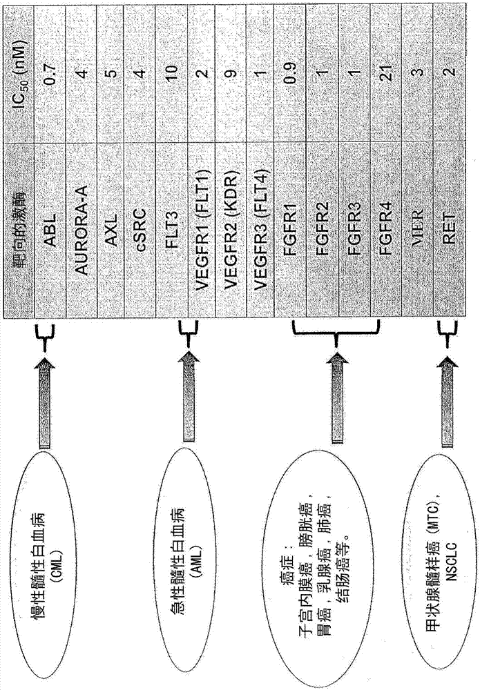 取代的吲哚-5-酚衍生物及其治疗应用的制作方法