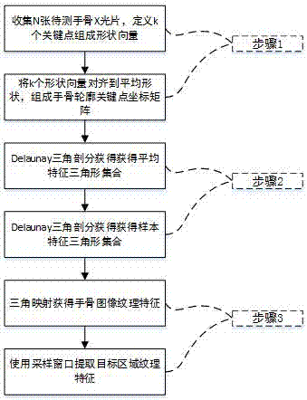 一种用于骨龄评估的手骨X光图像纹理特征提取方法与流程