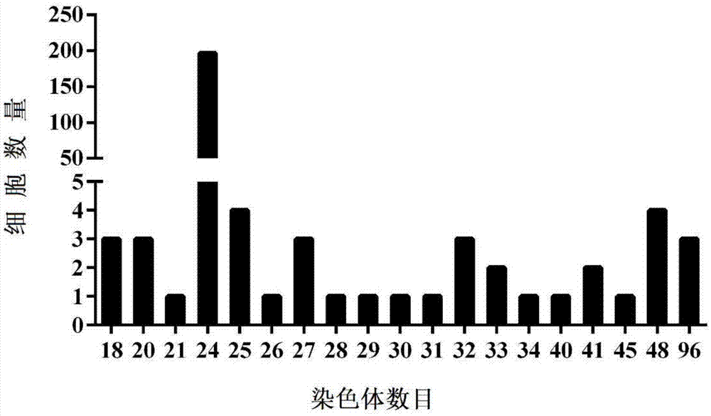 一种抗赤点石斑鱼神经坏死病毒青鳉单倍体胚胎干细胞的制备方法及应用与流程