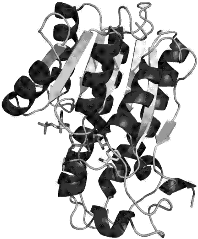 一种醇脱氢酶突变体及其应用的制作方法
