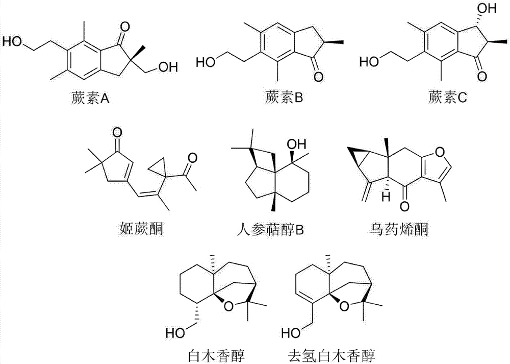 一种保存介质添加剂在脐带间充质干细胞保存中的应用的制作方法