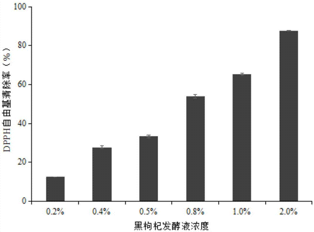 一种黑枸杞发酵液及其制备方法和在化妆品中的应用与流程