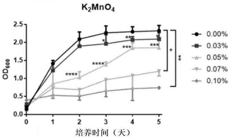 高锰酸钾在制备幽门螺杆菌感染根除治疗药物中的应用