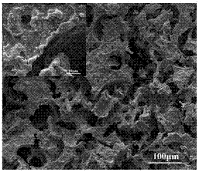 石墨相氮化碳泡沫复合氧化亚铜纳米颗粒光催化材料及其制备方法与流程