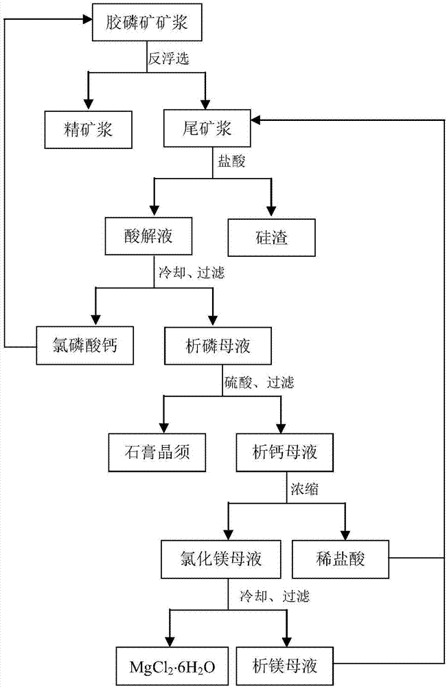 一种磷矿浮选尾矿的再加工方法及磷矿浮选方法与流程