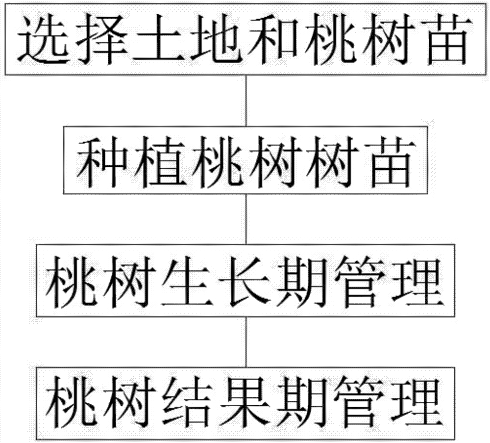 一种桃树的种植方法与流程