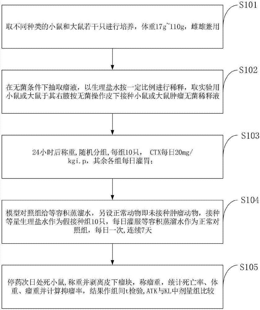 一种抗肿瘤实验动物模型及其构建方法与流程