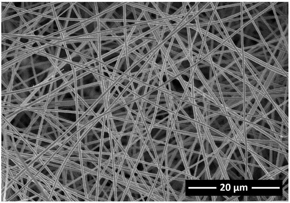 自支撑钙钛矿型氧化物纳米纤维催化净化材料及制备方法与流程