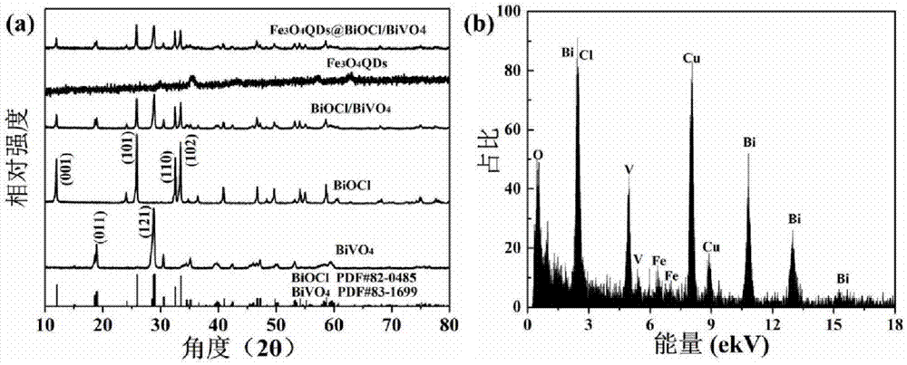 可见光响应的Fe3O4量子点修饰BiOCl/BiVO4的制备方法与流程