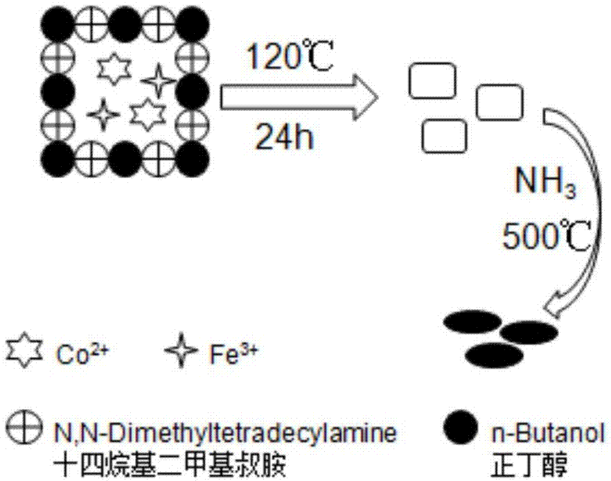 一种制备铁钴二元金属氮化物电解水析氢纳米催化材料的方法与流程