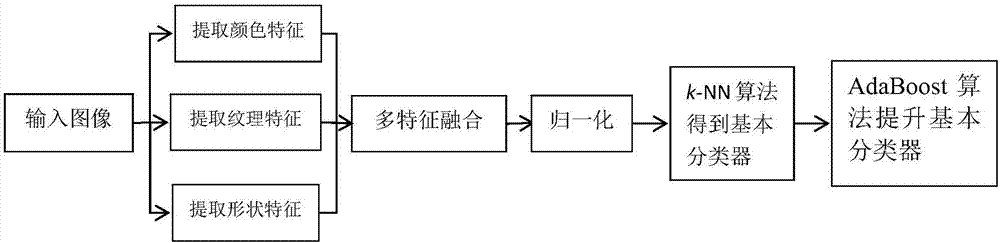 一种基于图像多特征融合的胶囊胃镜图像出血点识别方法与流程