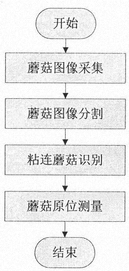 一种基于RGB－D相机的粘连蘑菇视觉原位测量方法与流程