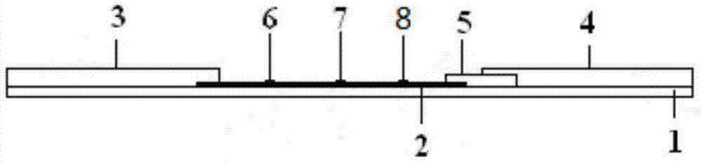 同时检测妇科肿瘤标志物HER-2和HE4的试纸条的制作方法