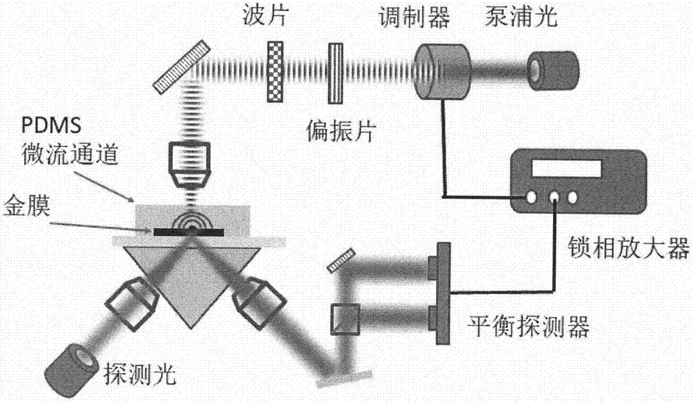 一种基于金膜光热效应的溶液检测方法和装置与流程